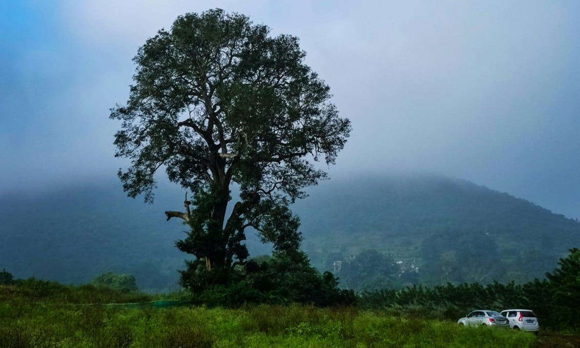 Lambasingi Hill Station